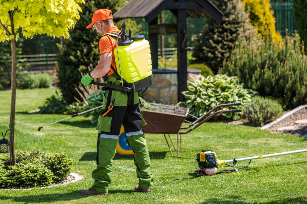 Best Fumigation Services  in Staten Island, NY